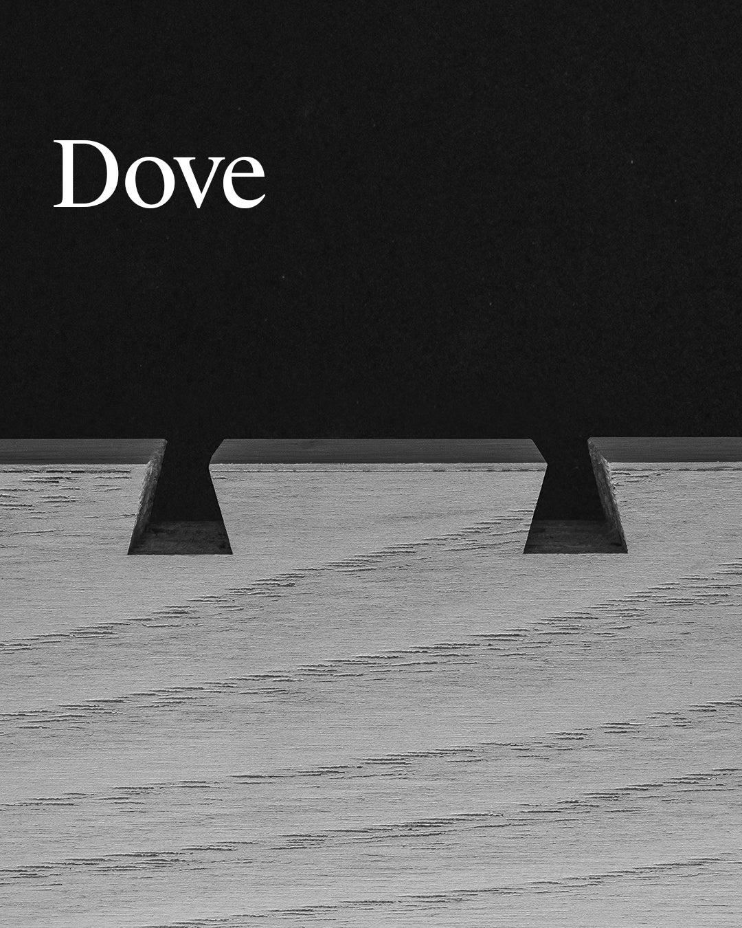 Dove_1.jpg